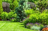 Sfaturi pentru întreținerea și îngrijirea eficientă a grădinii