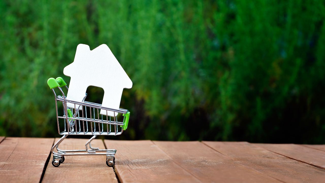 Ce alegi între un apartament în oraș și o casă la periferie?