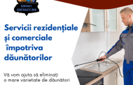 Dezinsecție Ploșnițe București: Ghidul Complet pentru a Scăpa Definitiv de Coșmarul Ciupiturilor și a Spune “Am Scăpat de Ploșnițe!”