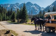 Plimbarea cu trasura – mai este la moda?