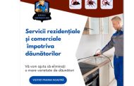 Cronicile Războiului Invizibil: Dezinsecția ca Pilon al Civilizației Moderne și Ghidul Definitiv pentru Protecția Habitatului Uman