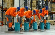 Gândacii dintr-un bloc nu respectă limitele dintre apartamente