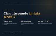 Responsabil NIS2 intern sau externalizat ?